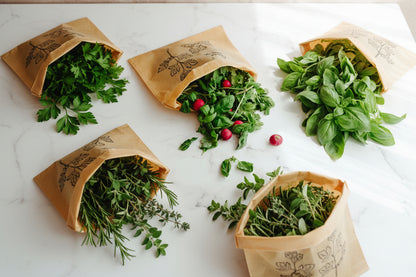 Bolsas Ecológicas Hierbas