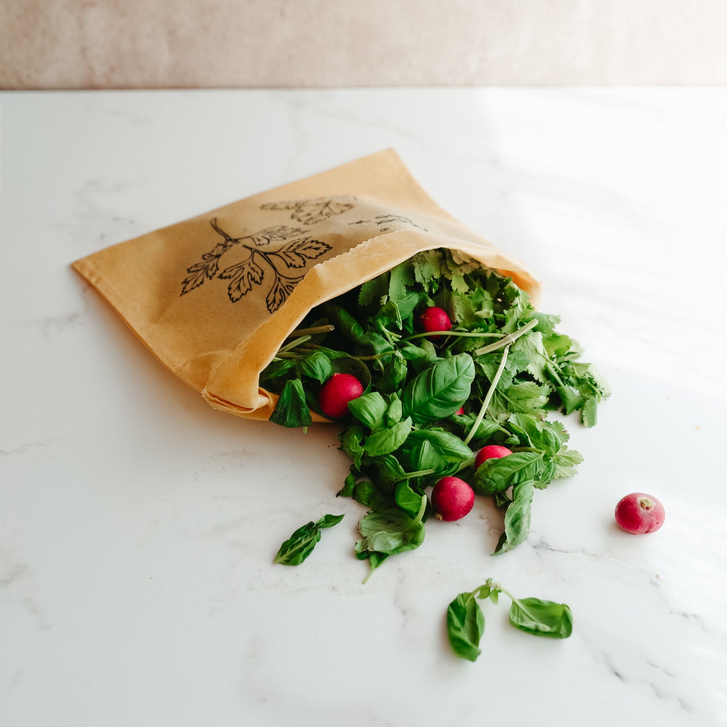 Bolsas Ecológicas Hierbas