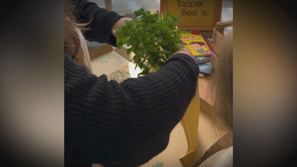 Bolsas Ecológicas Hortalizas